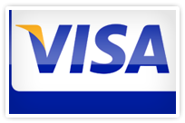 visa credit card processing
